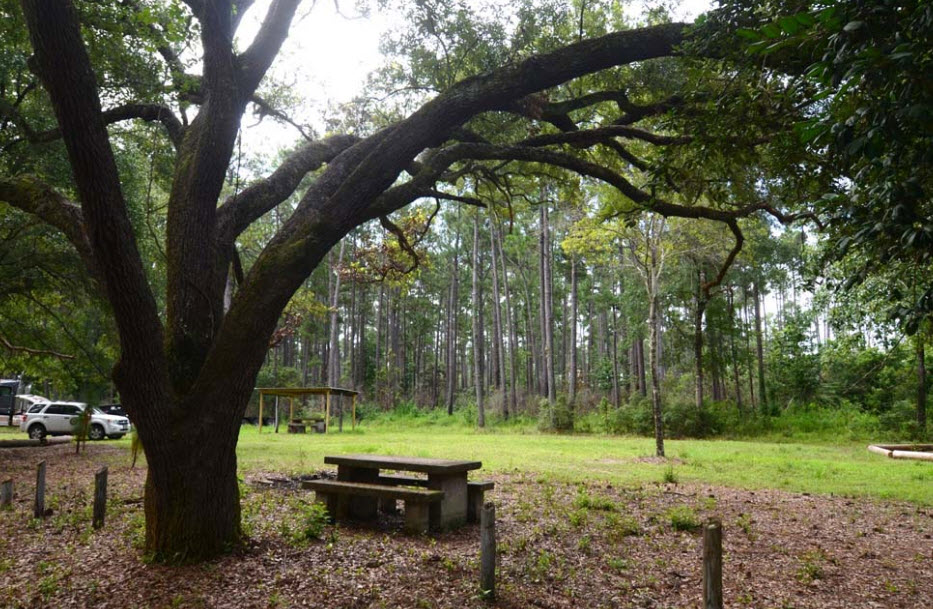 John H Kirby State Forest, United States